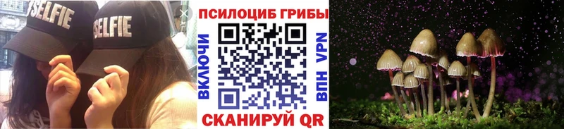 Галлюциногенные грибы Psilocybine cubensis  цены наркотик  Екатеринбург 